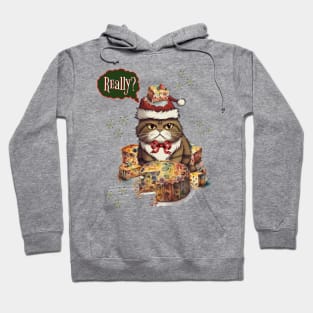 Angry Christmas Cat with Fruitcake Hoodie